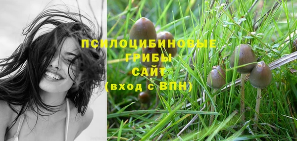 марки lsd Белоозёрский