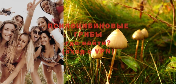 мескалин Балахна
