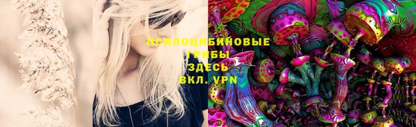 марки lsd Белоозёрский